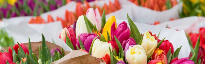 Explorando los Mercados de Flores de Viena