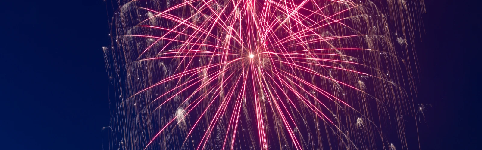 Fireworks and Festivities on New Year’s Eve in Vienna