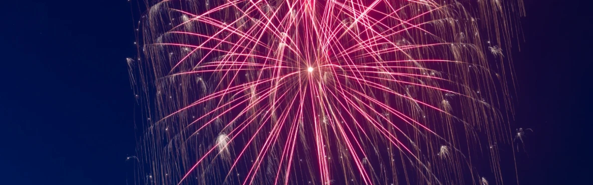 Fireworks and Festivities on New Year’s Eve in Vienna