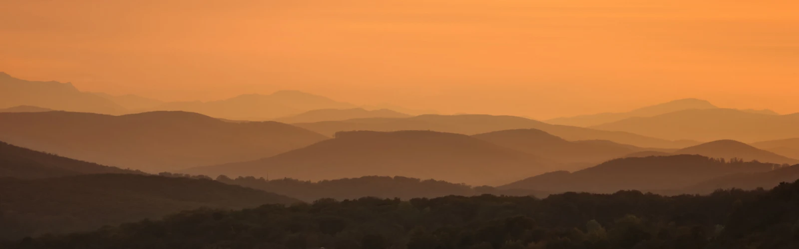 Sunset Views from Kahlenberg Hill